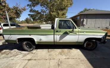 Chevrolet-c10-1976-green-5