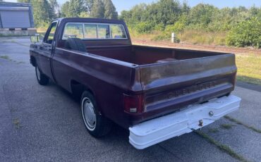 Chevrolet-c10-1978-white-9