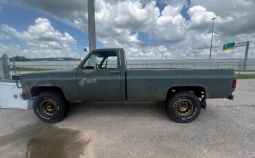 Chevrolet-c10-1979-1