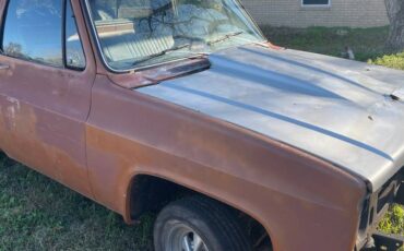 Chevrolet-c10-1981-1