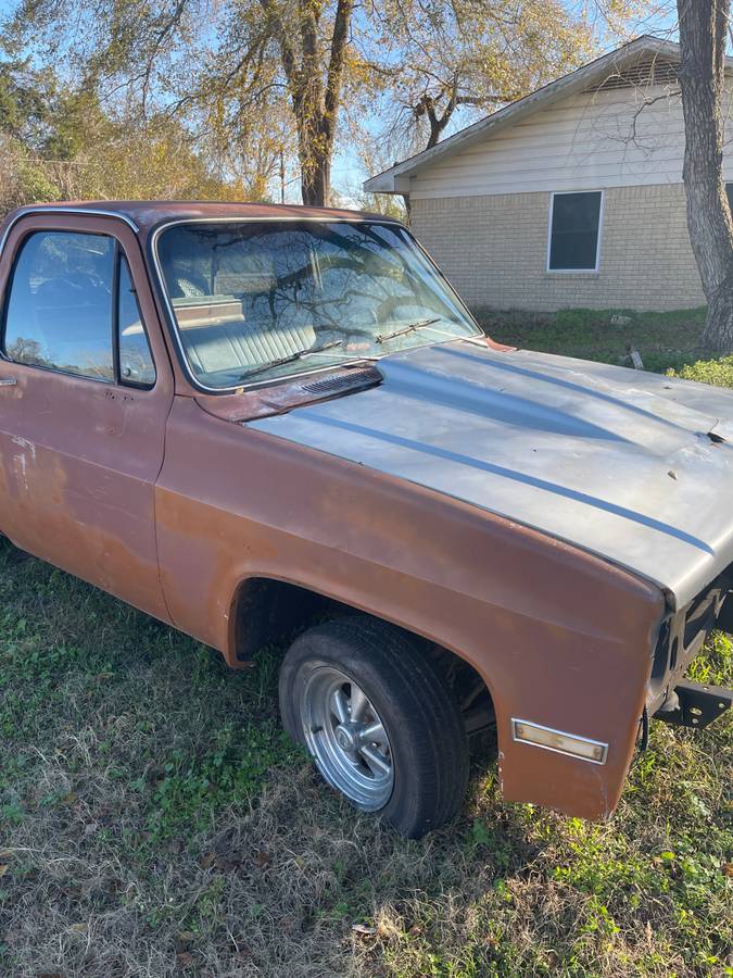 Chevrolet-c10-1981-1