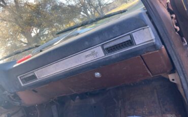Chevrolet-c10-1981-13