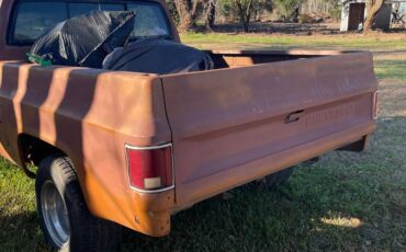 Chevrolet-c10-1981-2