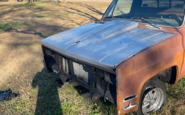 Chevrolet-c10-1981-4