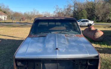 Chevrolet-c10-1981-5
