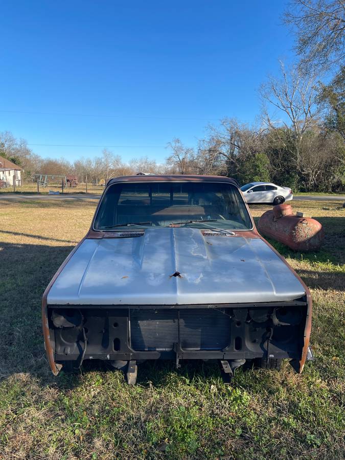 Chevrolet-c10-1981-5