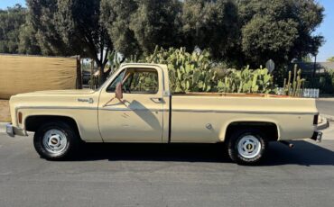Chevrolet-c10-cheyenne-1977-1
