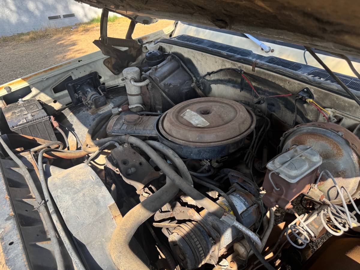Chevrolet-c10-cheyenne-1977-10