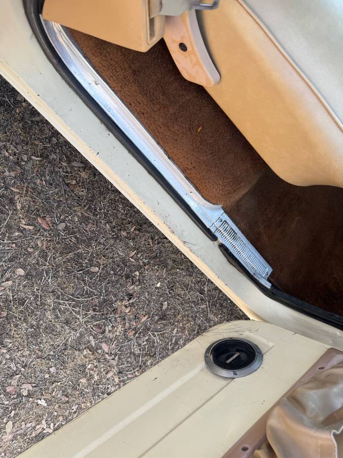 Chevrolet-c10-cheyenne-1977-12