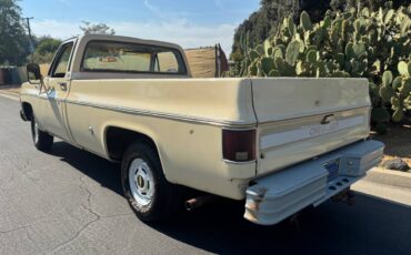 Chevrolet-c10-cheyenne-1977-2