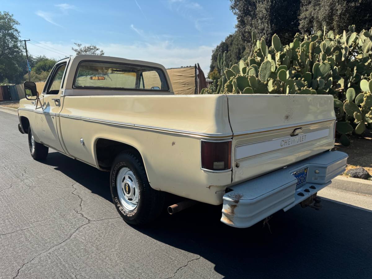 Chevrolet-c10-cheyenne-1977-2