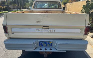 Chevrolet-c10-cheyenne-1977-3