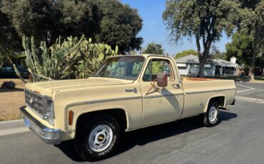 Chevrolet-c10-cheyenne-1977