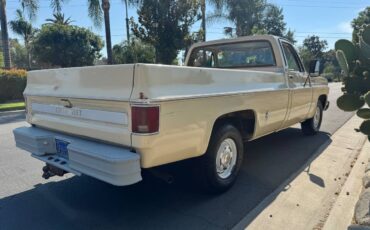 Chevrolet-c10-cheyenne-1977-4