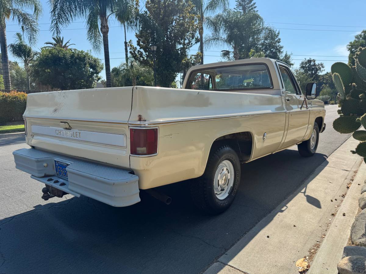 Chevrolet-c10-cheyenne-1977-4
