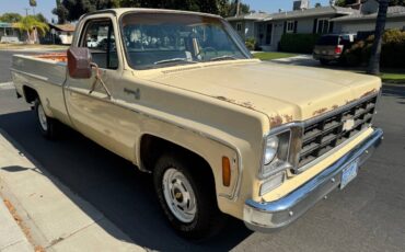 Chevrolet-c10-cheyenne-1977-5