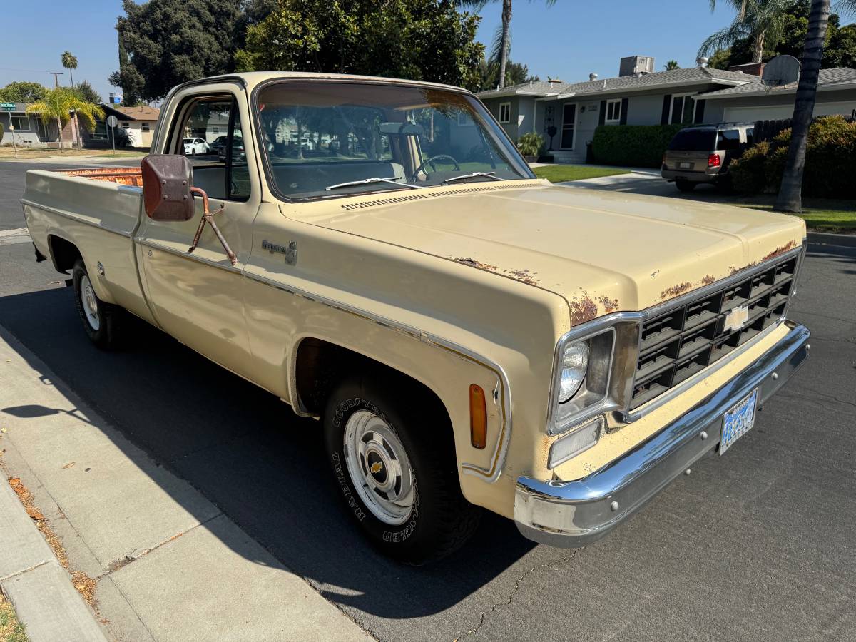 Chevrolet-c10-cheyenne-1977-5