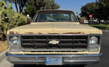 Chevrolet-c10-cheyenne-1977-6
