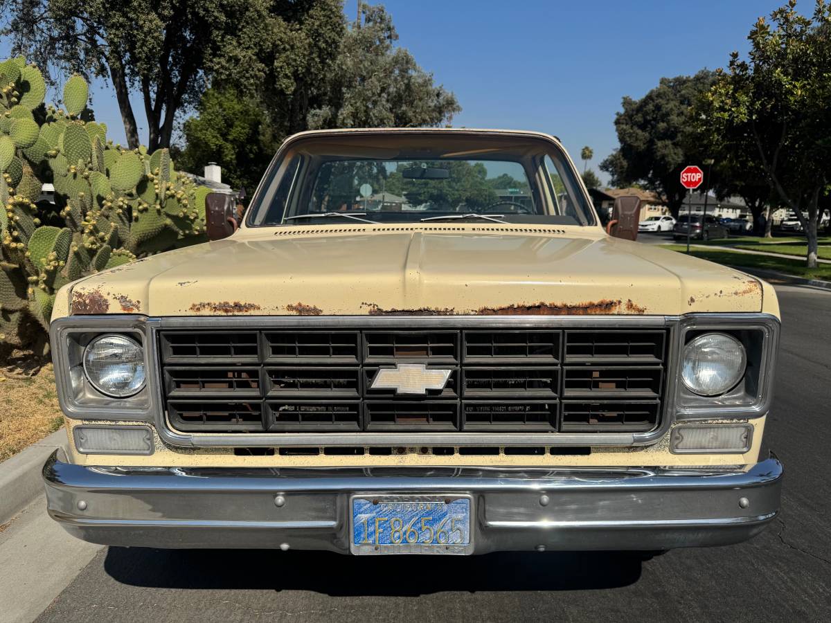 Chevrolet-c10-cheyenne-1977-6
