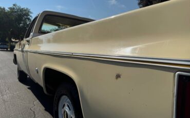 Chevrolet-c10-cheyenne-1977-7