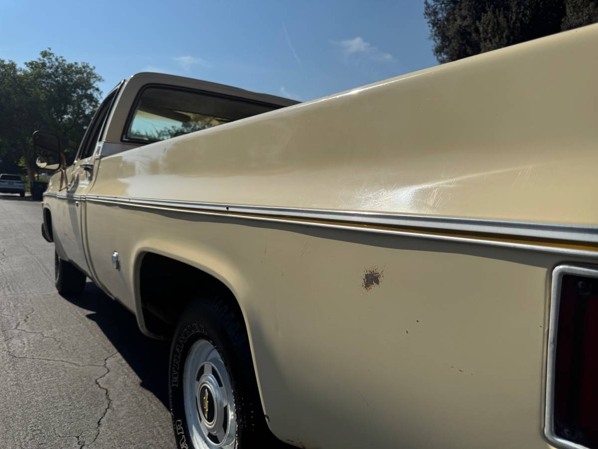 Chevrolet-c10-cheyenne-1977-7