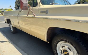 Chevrolet-c10-cheyenne-1977-8