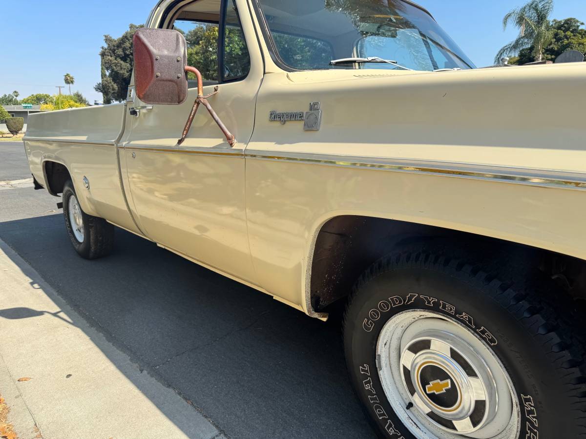 Chevrolet-c10-cheyenne-1977-8