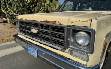Chevrolet-c10-cheyenne-1977-9