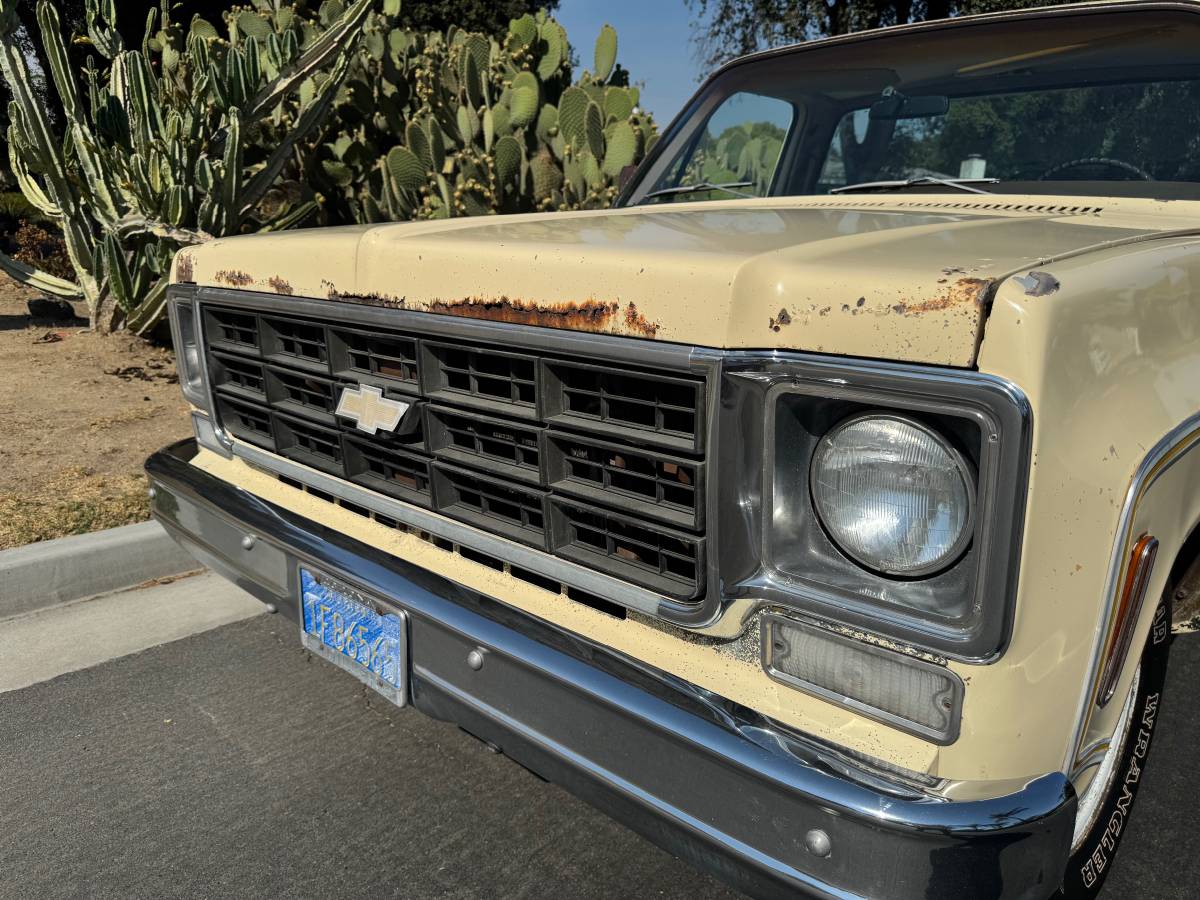 Chevrolet-c10-cheyenne-1977-9