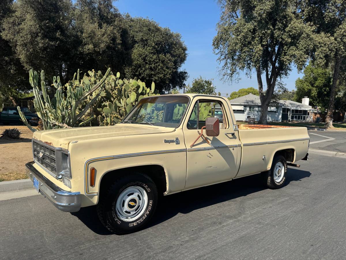 Chevrolet-c10-cheyenne-1977