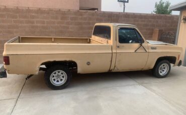 Chevrolet-c10-longbed-1977