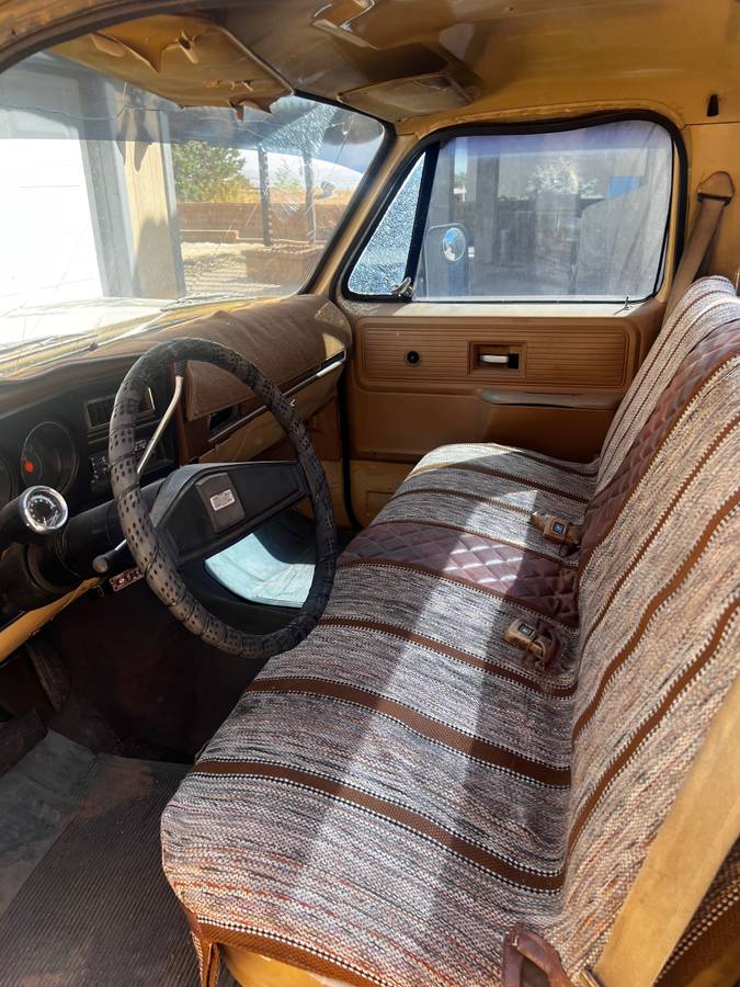 Chevrolet-c10-longbed-1977-6
