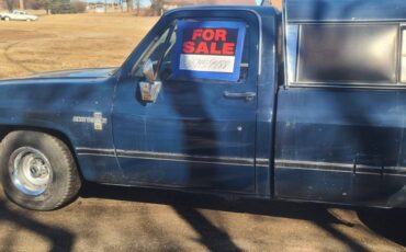 Chevrolet-c10-lwb-pickup-scottsdale-1986-blue-5