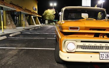 Chevrolet-c10-pickup-1965-custom-16