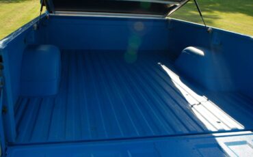 Chevrolet-c10-pickup-1967-blue-10