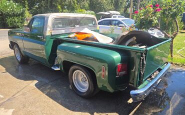 Chevrolet-c10-pickup-1973-1