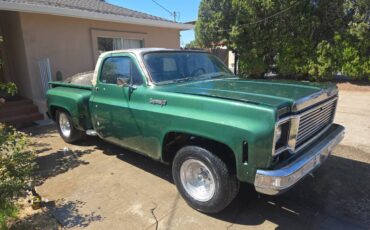 Chevrolet-c10-pickup-1973