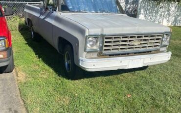Chevrolet-c10-pickup-1975-grey-2