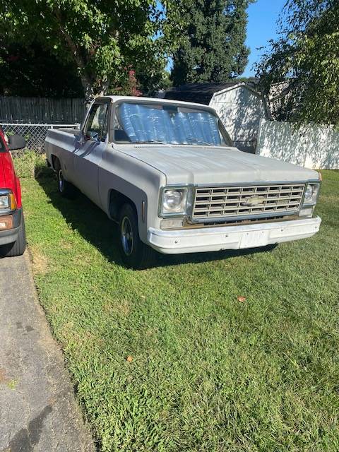 Chevrolet-c10-pickup-1975-grey-2
