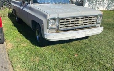 Chevrolet-c10-pickup-1975-grey-3
