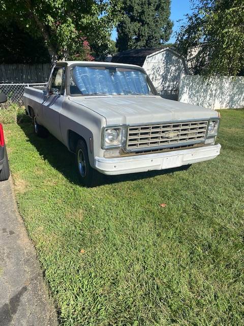 Chevrolet-c10-pickup-1975-grey-3