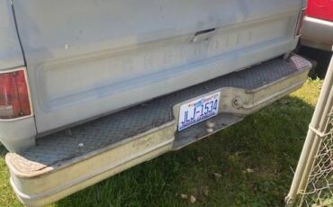 Chevrolet-c10-pickup-1975-grey