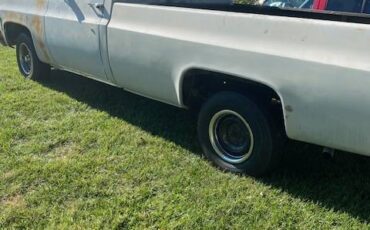 Chevrolet-c10-pickup-1975-grey-4