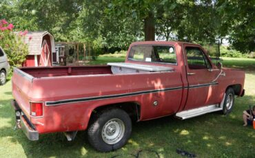 Chevrolet-c10-pickup-1976-1
