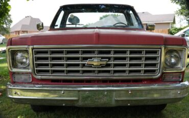 Chevrolet-c10-pickup-1976-2
