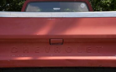 Chevrolet-c10-pickup-1976-3