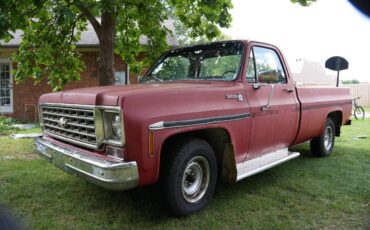 Chevrolet-c10-pickup-1976