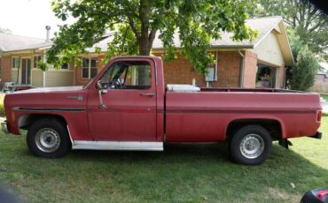 Chevrolet-c10-pickup-1976-9