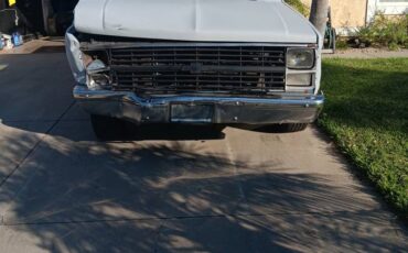 Chevrolet-c10-pickup-1984-grey-6