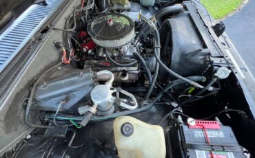 Chevrolet-c10-pickup-1986-custom-18